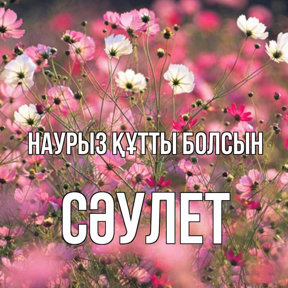 Күн сайын ашық хат с именем, СӘУЛЕТ Наурыз құтты болсын красиво 1 Онлайн тегін жүктеп алу тілектері бар керемет карта 