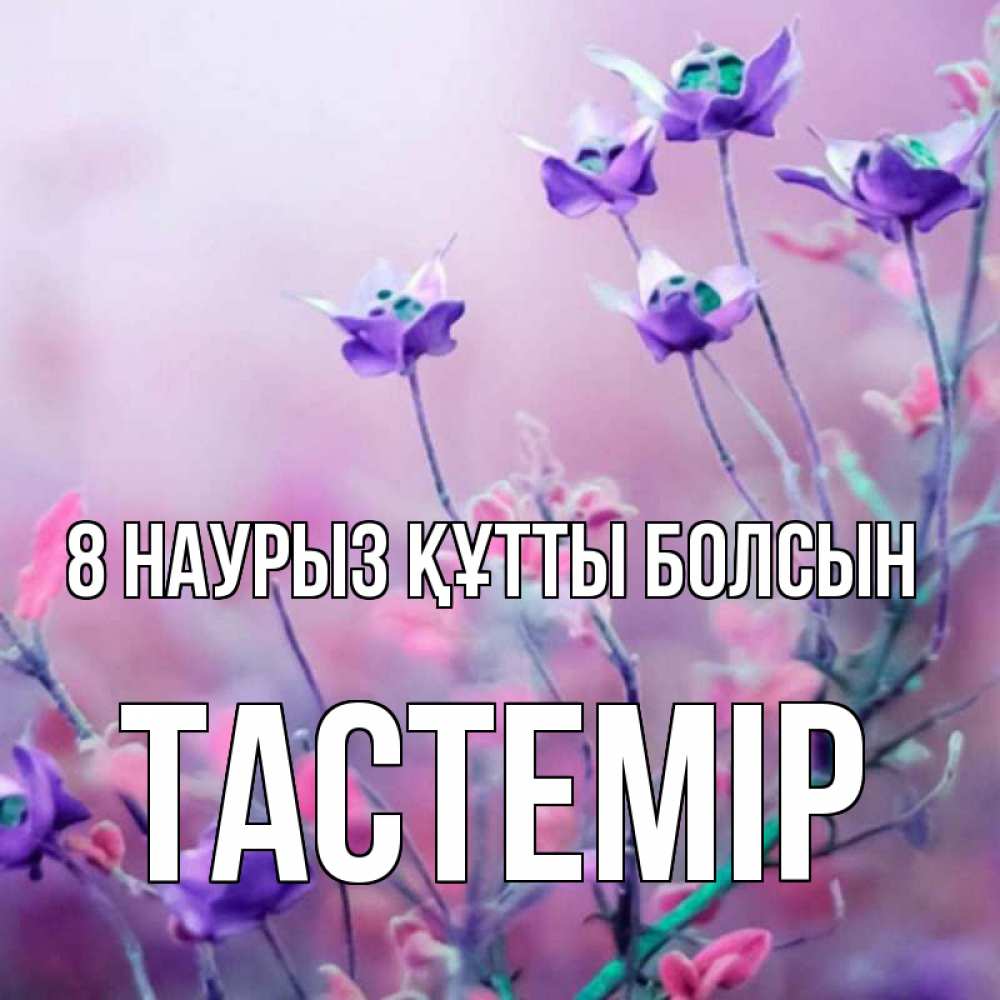 Күн сайын ашық хат с именем, ТАСТЕМІР 8 наурыз құтты болсын международный женский день 2 Онлайн тегін жүктеп алу тілектері бар керемет карта 