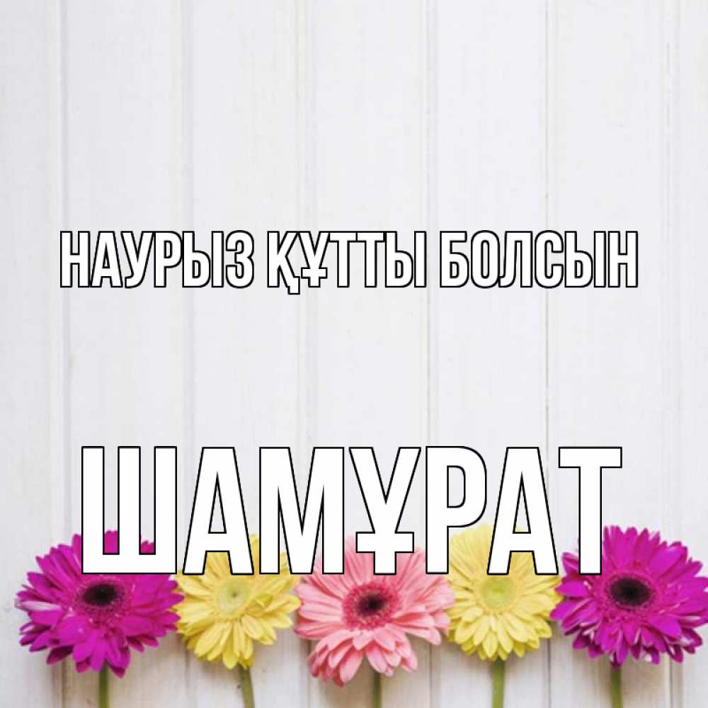 Күн сайын ашық хат с именем, ШАМҰРАТ Наурыз құтты болсын женщинам 1 Онлайн тегін жүктеп алу тілектері бар керемет карта 