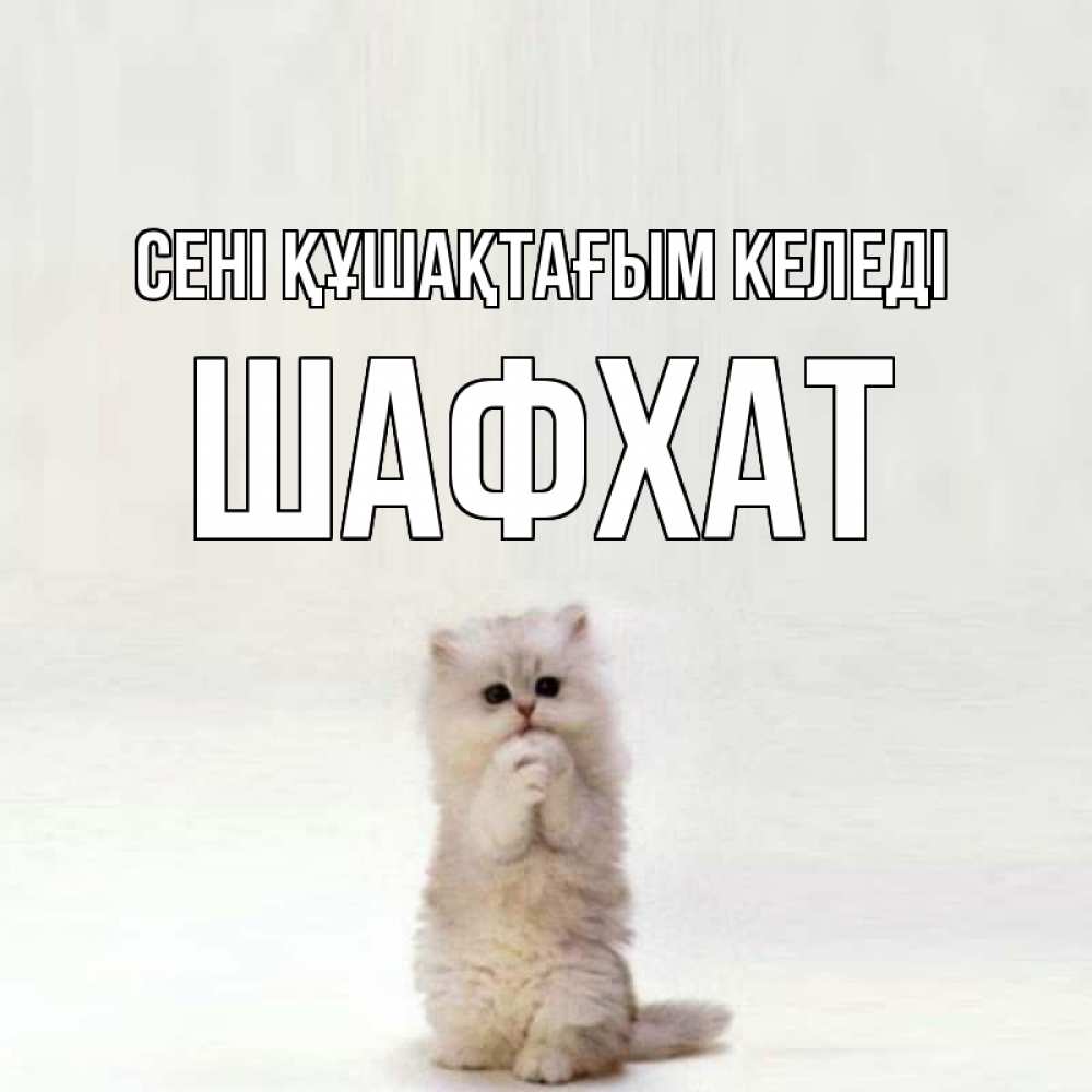 Күн сайын ашық хат с именем, ШАФХАТ сені құшақтағым келеді открытки с креативными подписями Онлайн тегін жүктеп алу тілектері бар керемет карта 