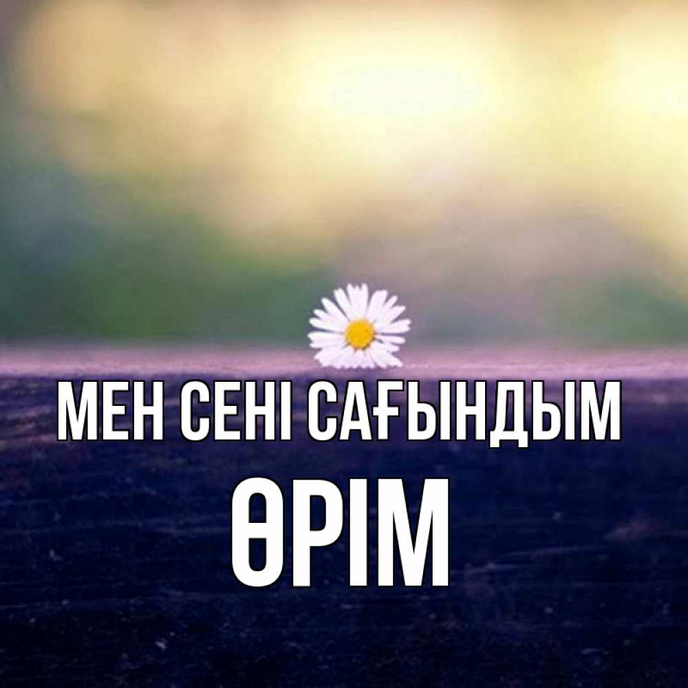 Күн сайын ашық хат с именем, ӨРІМ Мен сені сағындым приходи в гости Онлайн тегін жүктеп алу тілектері бар керемет карта 