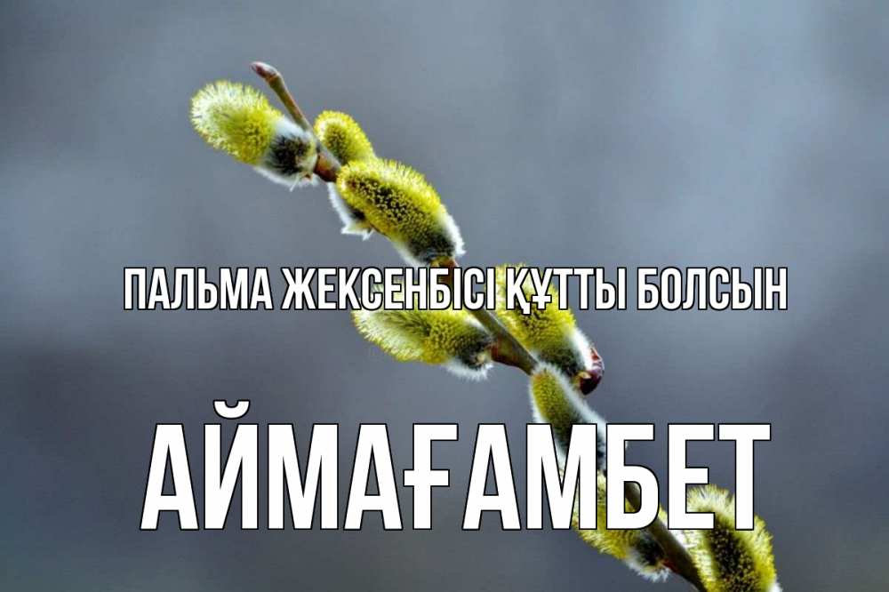 Күн сайын ашық хат с именем, Аймағамбет Пальма жексенбісі құтты болсын верба Онлайн тегін жүктеп алу тілектері бар керемет карта 