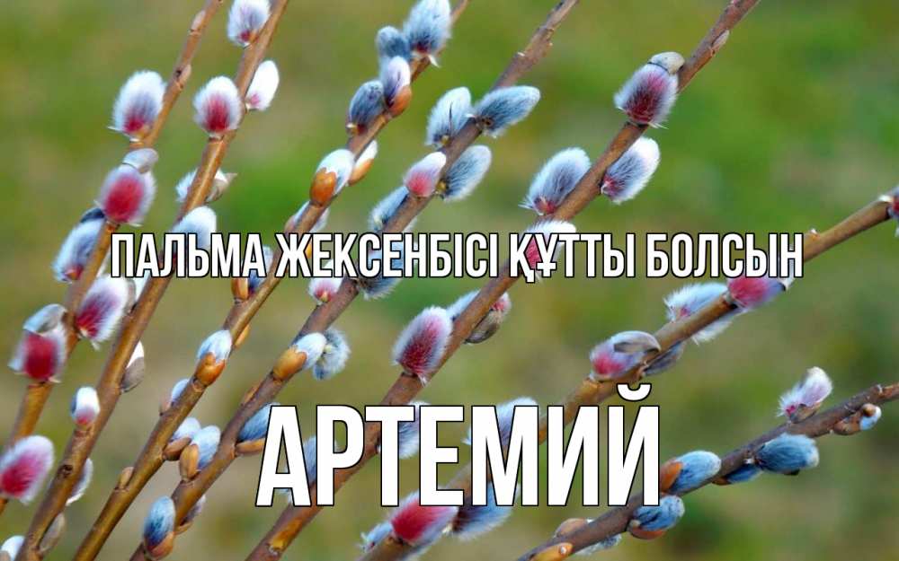 Күн сайын ашық хат с именем, Артемий Пальма жексенбісі құтты болсын верба Онлайн тегін жүктеп алу тілектері бар керемет карта 