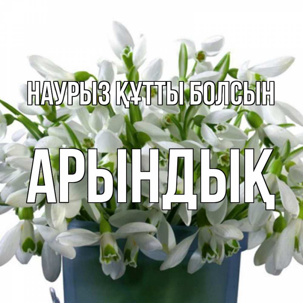 Күн сайын ашық хат с именем, Арындық Наурыз құтты болсын цветы к наурызу Онлайн тегін жүктеп алу тілектері бар керемет карта 