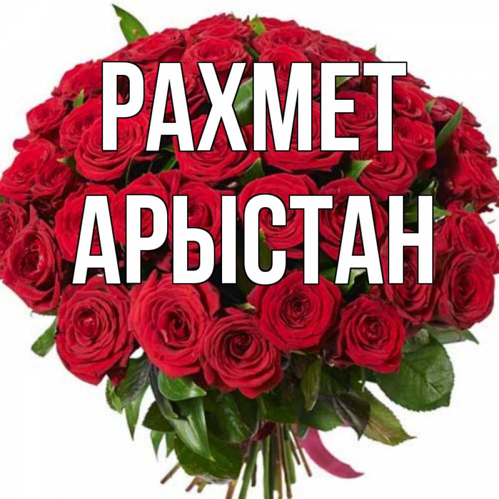 Күн сайын ашық хат с именем, Арыстан рахмет букет красных роз Онлайн тегін жүктеп алу тілектері бар керемет карта 