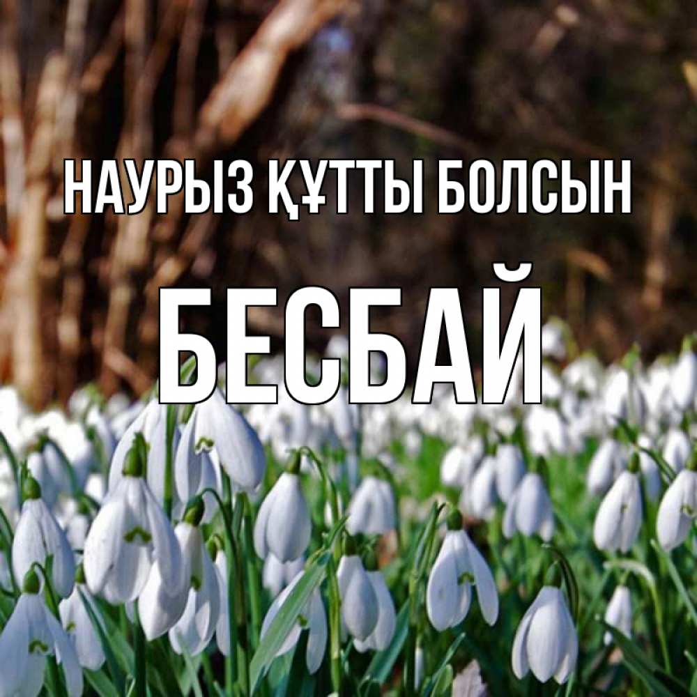 Күн сайын ашық хат с именем, Бесбай Наурыз құтты болсын с подснежниками 1 Онлайн тегін жүктеп алу тілектері бар керемет карта 