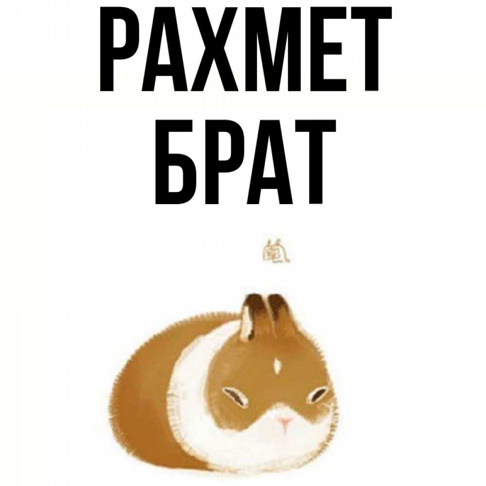 Күн сайын ашық хат с именем, Брат рахмет коричнево белый домашний питомец Онлайн тегін жүктеп алу тілектері бар керемет карта 