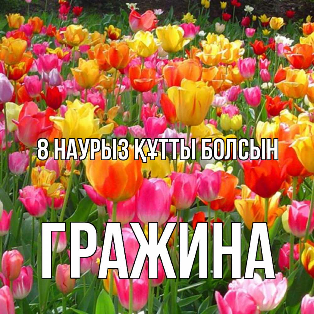 Күн сайын ашық хат с именем, Гражина 8 наурыз құтты болсын на международный женский день Онлайн тегін жүктеп алу тілектері бар керемет карта 
