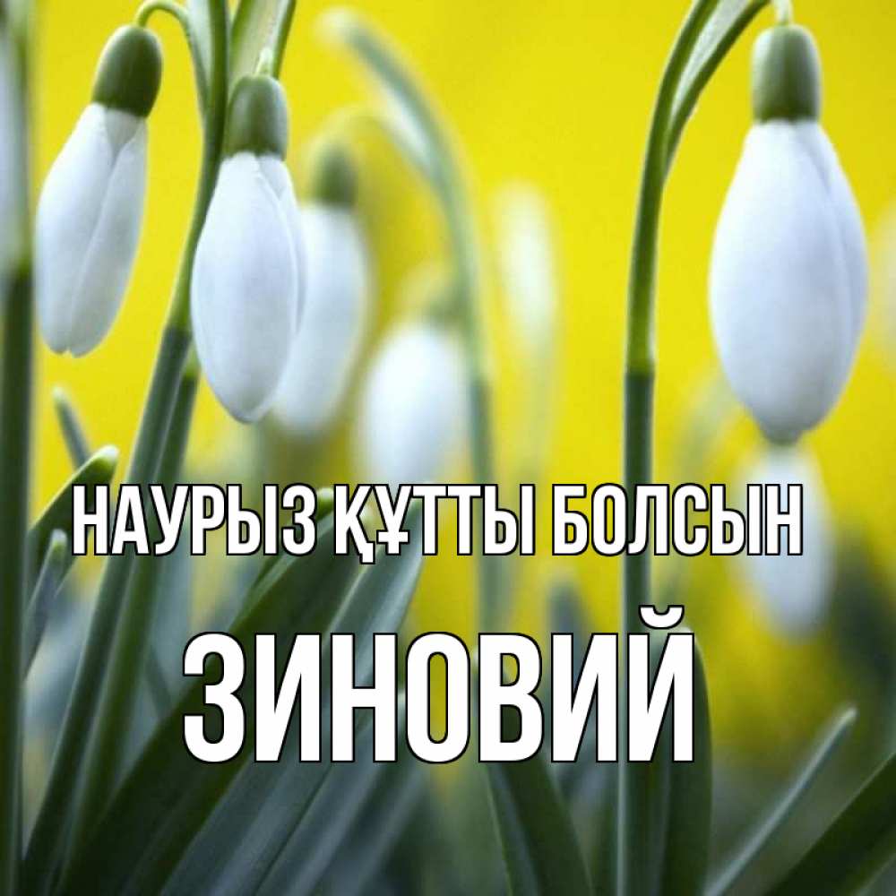 Күн сайын ашық хат с именем, Зиновий Наурыз құтты болсын весенние цветы Онлайн тегін жүктеп алу тілектері бар керемет карта 