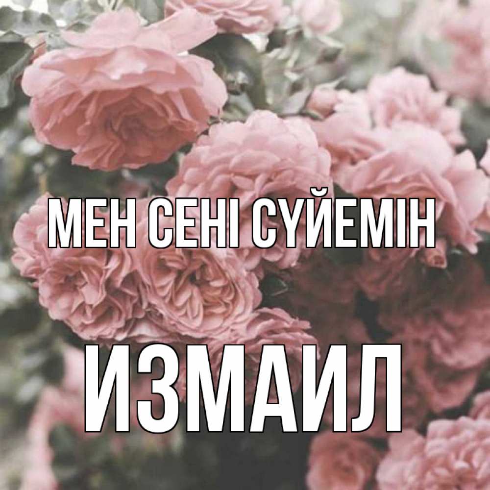Күн сайын ашық хат с именем, Измаил Мен сені сүйемін розы 3 Онлайн тегін жүктеп алу тілектері бар керемет карта 