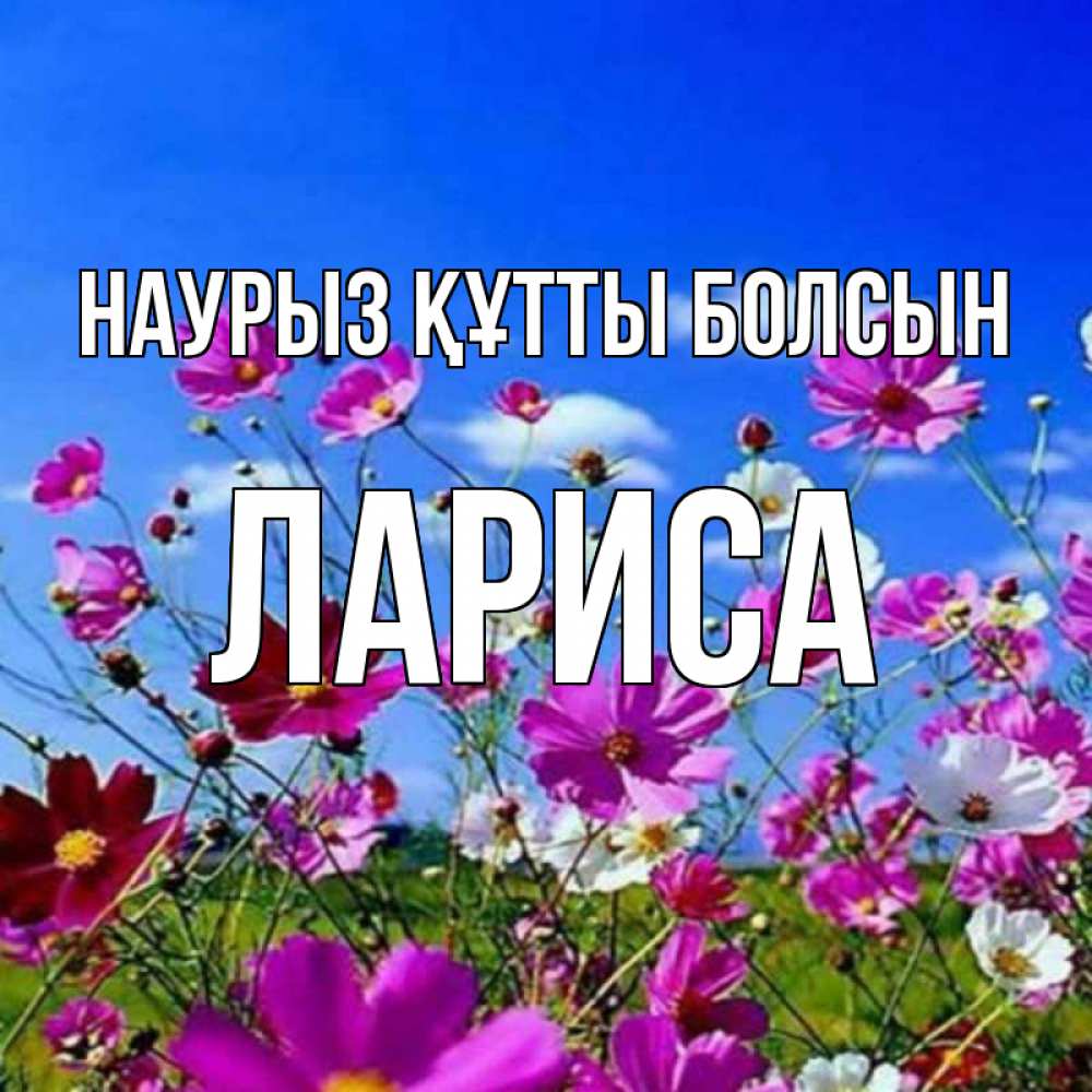 Күн сайын ашық хат с именем, Лариса Наурыз құтты болсын цветы Онлайн тегін жүктеп алу тілектері бар керемет карта 