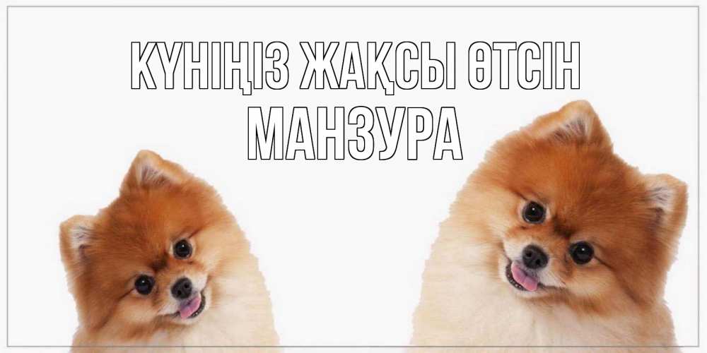 Күн сайын ашық хат с именем, МАНЗУРА Күніңіз жақсы өтсін собачки желают прекрасного дня Онлайн тегін жүктеп алу тілектері бар керемет карта 