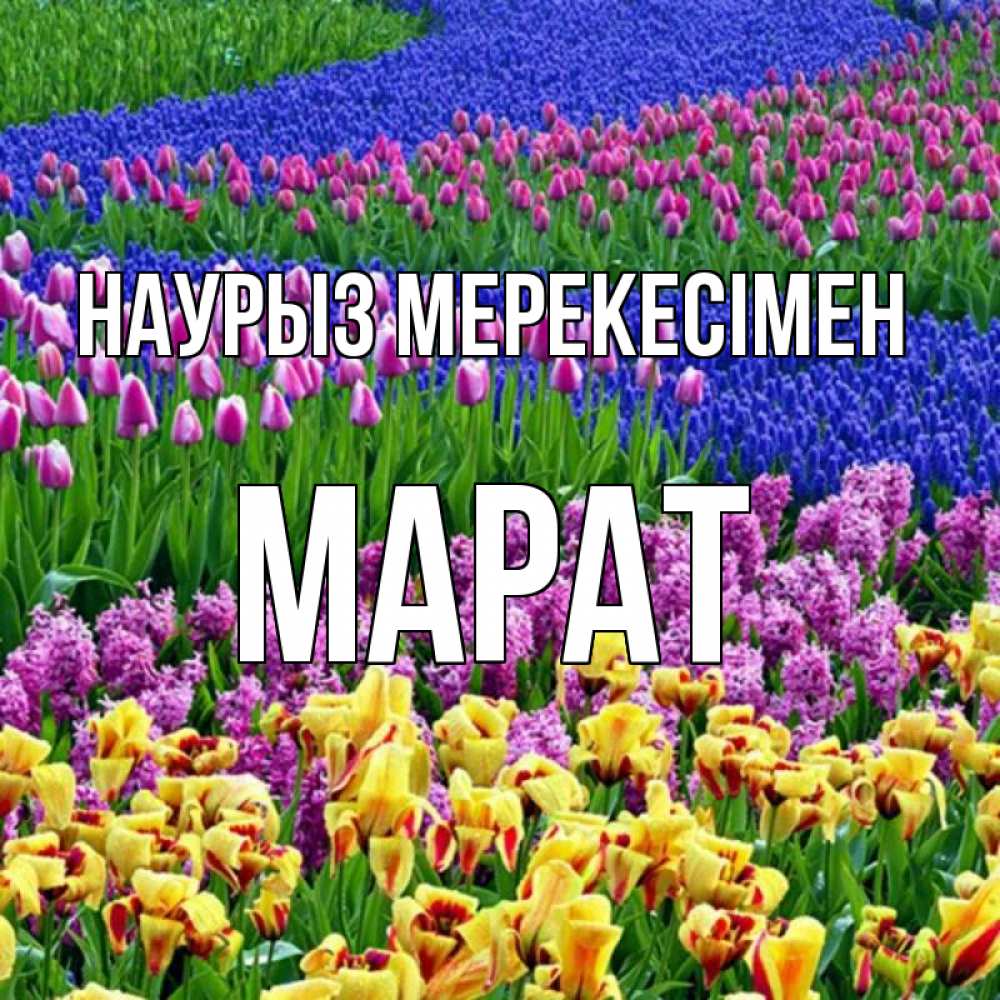 Күн сайын ашық хат с именем, МАРАТ Наурыз мерекесімен цветы Онлайн тегін жүктеп алу тілектері бар керемет карта 