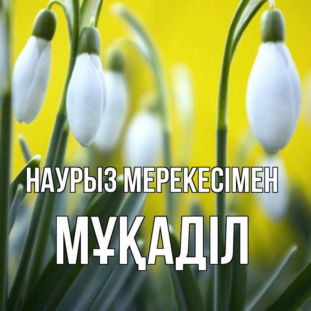 Күн сайын ашық хат с именем, МҰҚАДІЛ Наурыз мерекесімен весенние цветы Онлайн тегін жүктеп алу тілектері бар керемет карта 