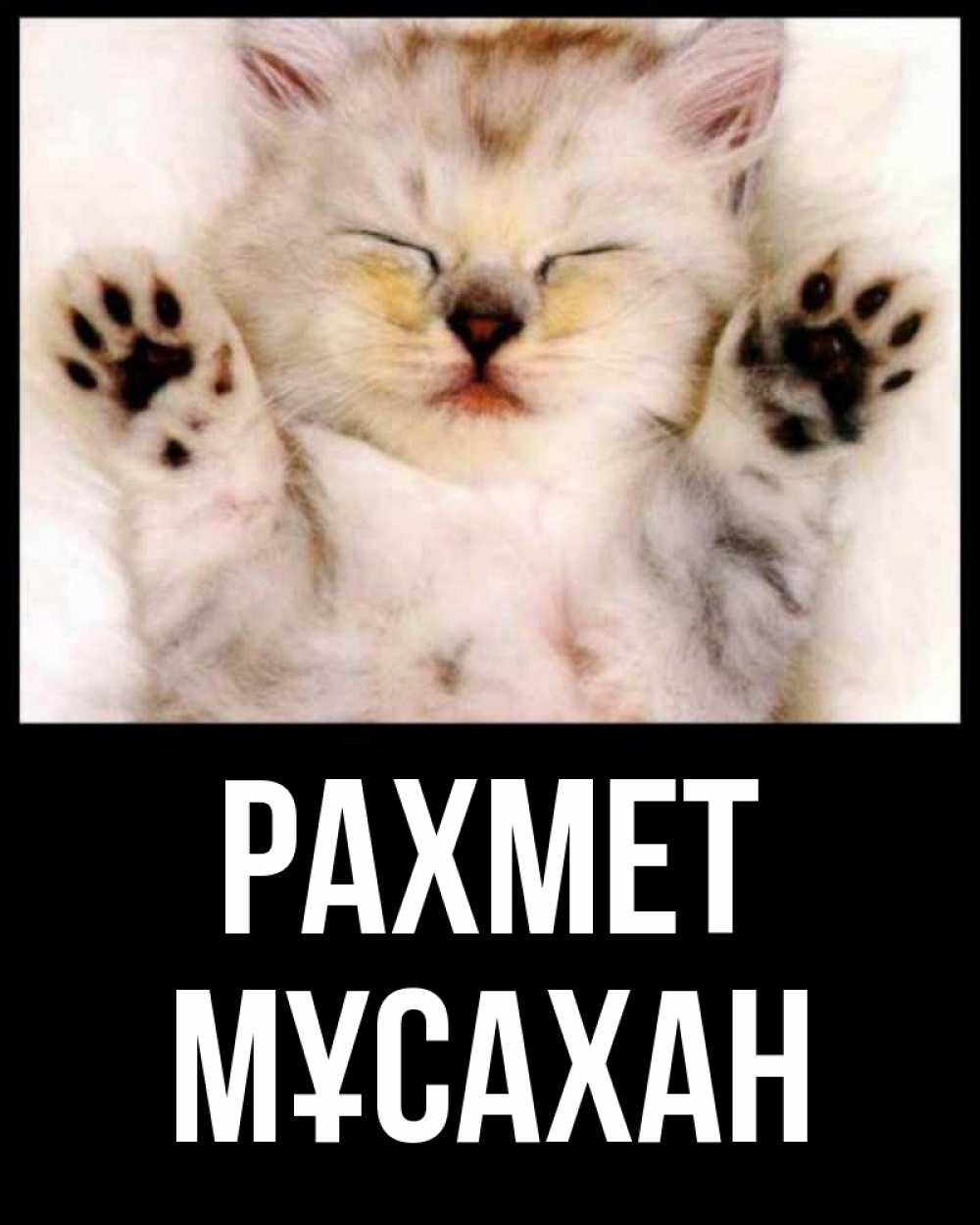 Күн сайын ашық хат с именем, Мұсахан рахмет маленький котенок Онлайн тегін жүктеп алу тілектері бар керемет карта 