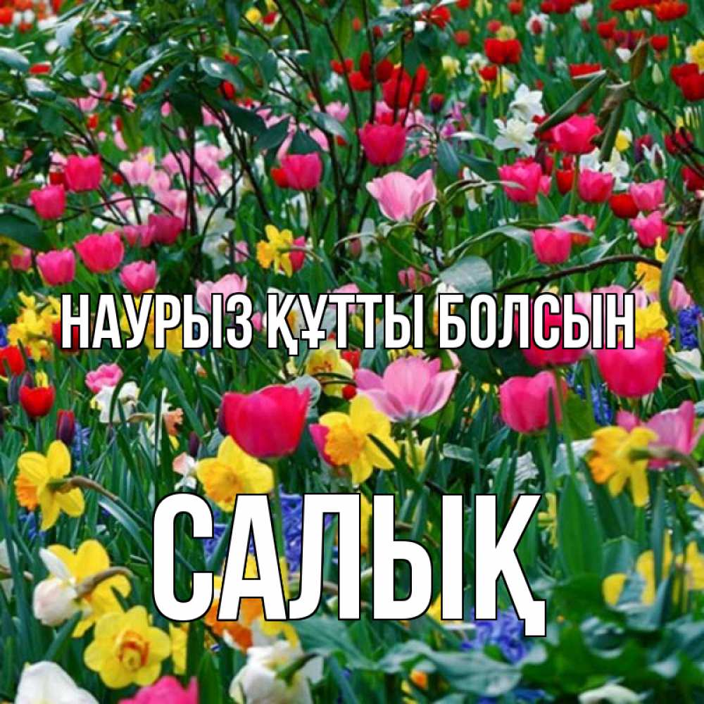 Күн сайын ашық хат с именем, САЛЫҚ Наурыз құтты болсын с наурызом поздравления для женщины Онлайн тегін жүктеп алу тілектері бар керемет карта 