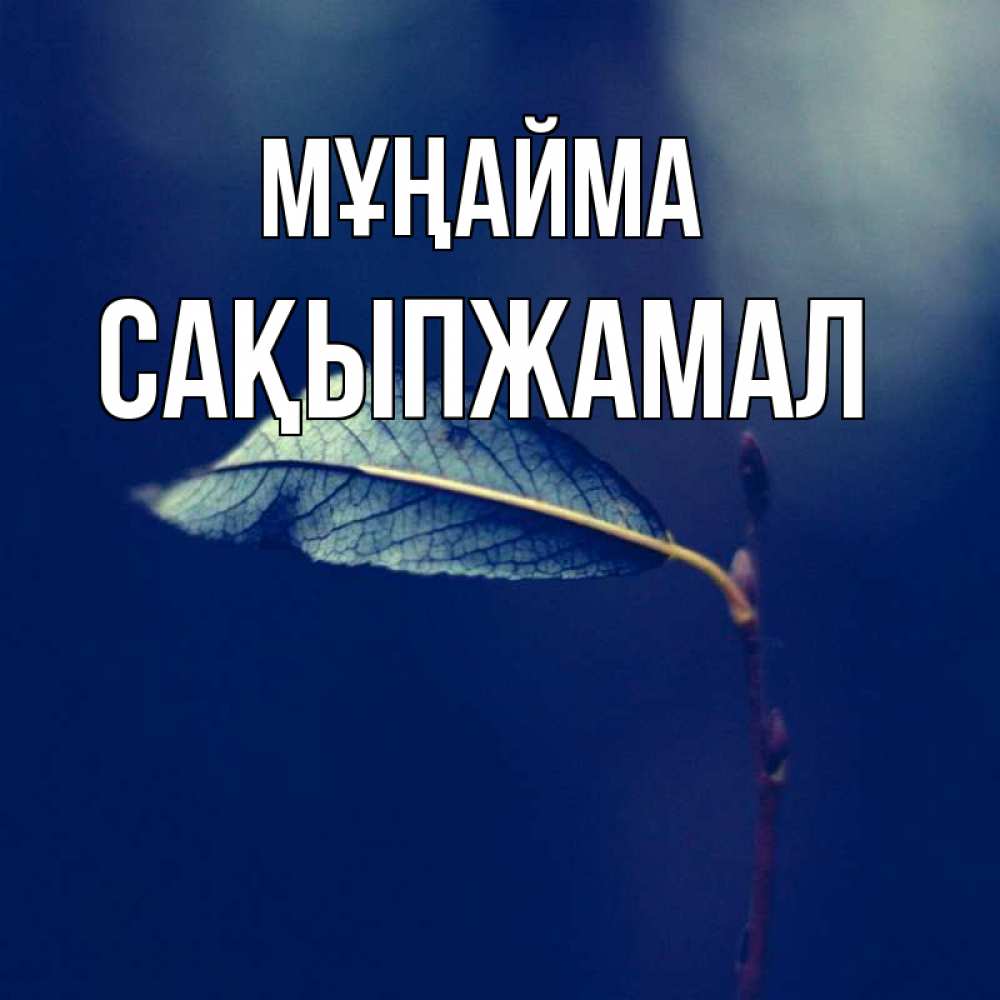 Күн сайын ашық хат с именем, САҚЫПЖАМАЛ Мұңайма растение Онлайн тегін жүктеп алу тілектері бар керемет карта 