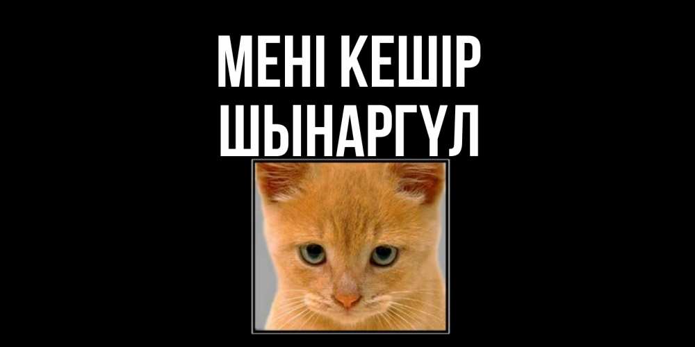 Күн сайын ашық хат с именем, ШЫНАРГҮЛ Мені кешір рыжий грустный кот просит прощения Онлайн тегін жүктеп алу тілектері бар керемет карта 