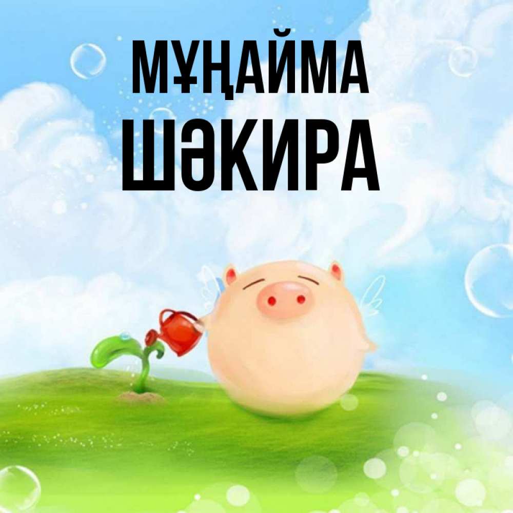 Күн сайын ашық хат с именем, ШӘКИРА Мұңайма поливает цветок порося Онлайн тегін жүктеп алу тілектері бар керемет карта 