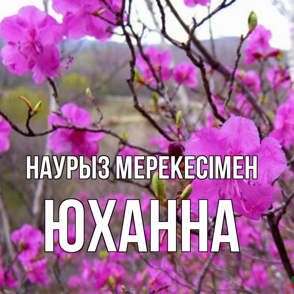 Күн сайын ашық хат с именем, Юханна Наурыз мерекесімен праздник весны наурыз Онлайн тегін жүктеп алу тілектері бар керемет карта 