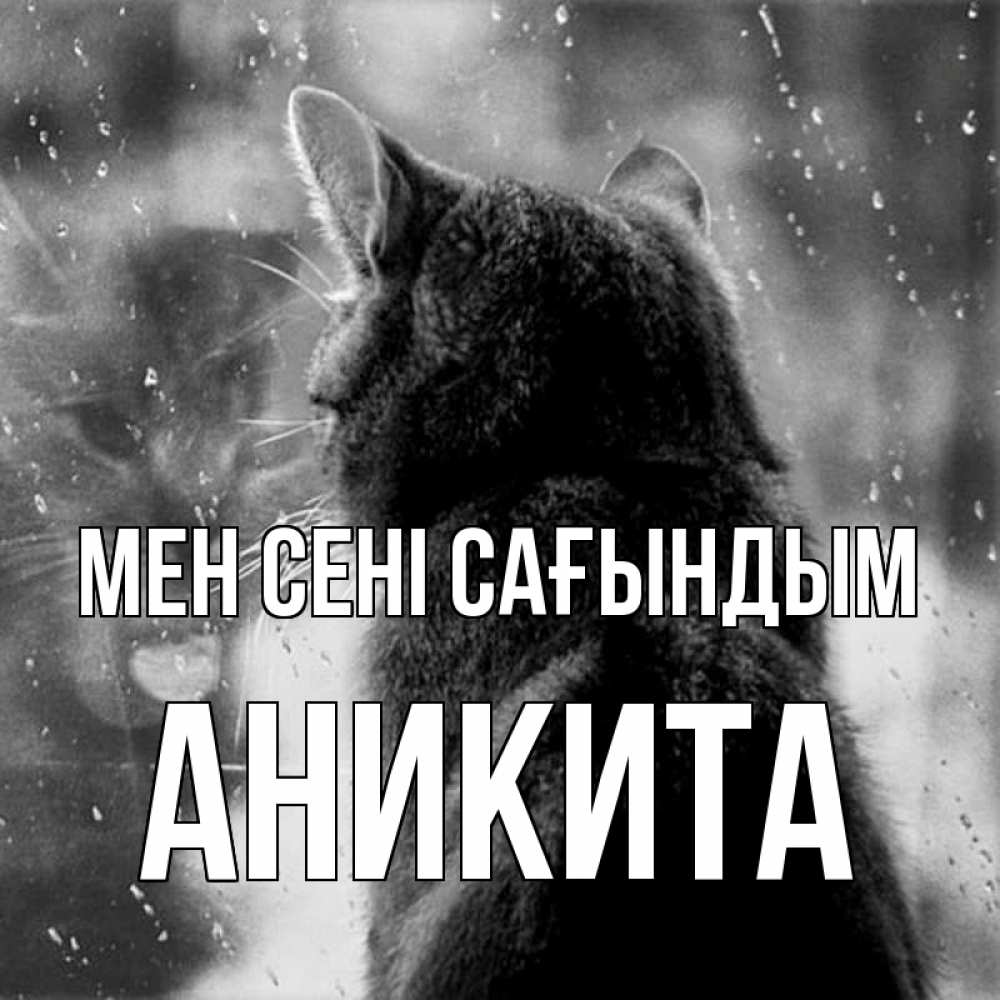 Күн сайын ашық хат с именем, Аникита Мен сені сағындым скорее ко мне приходи 1 Онлайн тегін жүктеп алу тілектері бар керемет карта 