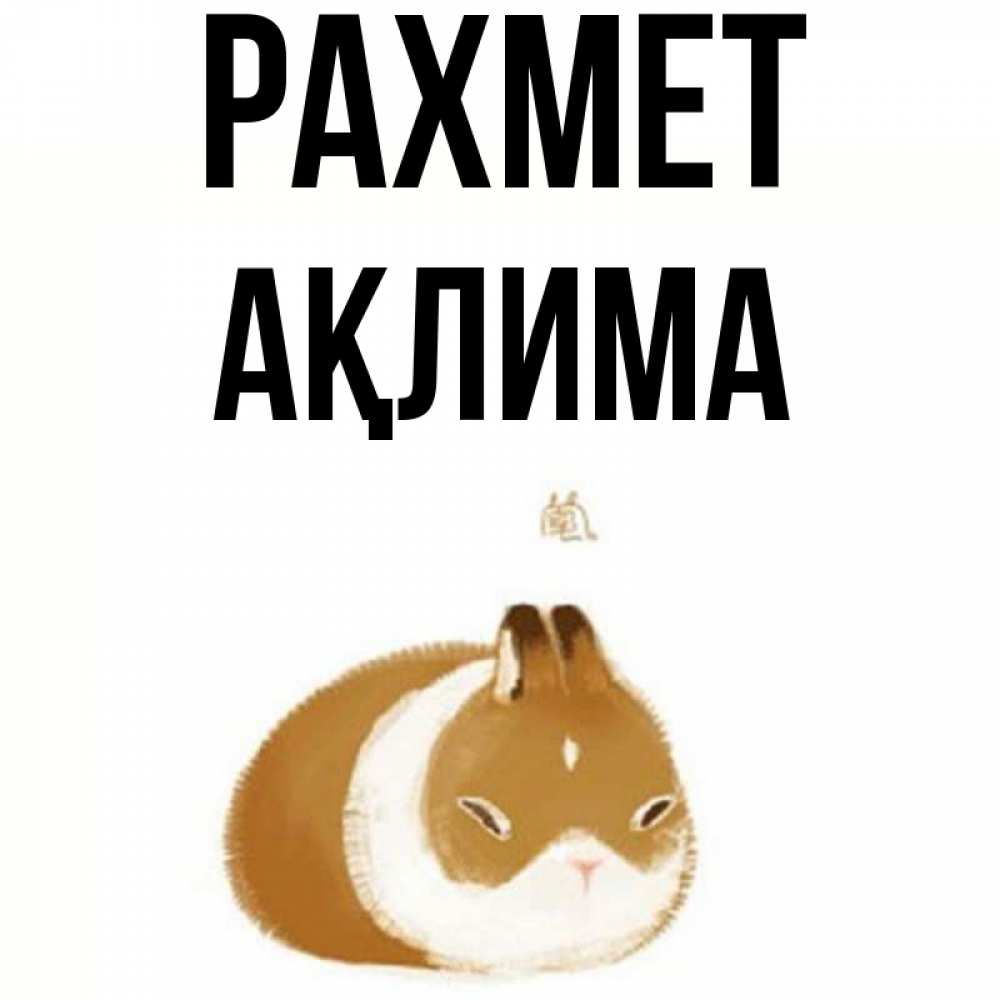 Күн сайын ашық хат с именем, АҚЛИМА рахмет коричнево белый домашний питомец Онлайн тегін жүктеп алу тілектері бар керемет карта 