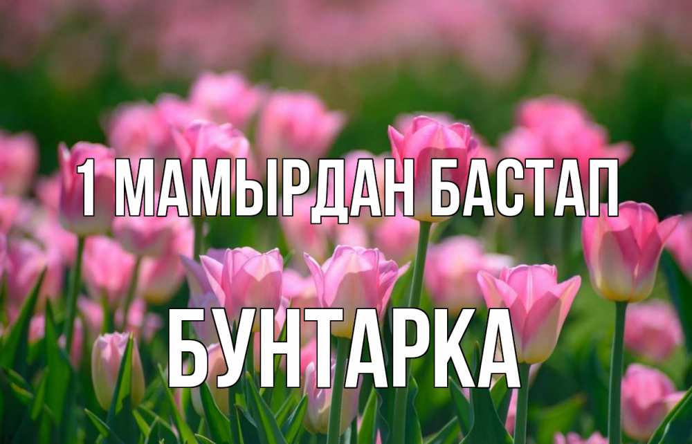 Күн сайын ашық хат с именем, Бунтарка 1 мамырдан бастап С 1 мая Онлайн тегін жүктеп алу тілектері бар керемет карта 