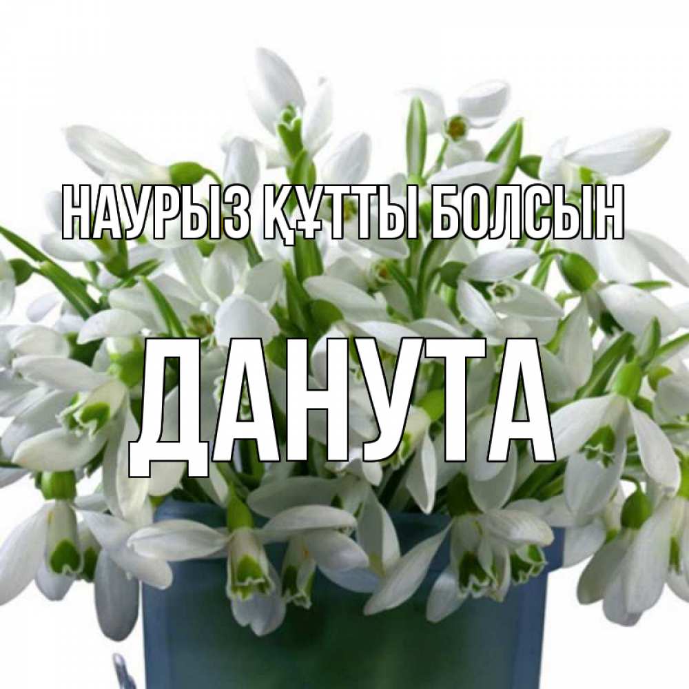 Күн сайын ашық хат с именем, Данута Наурыз құтты болсын цветы к наурызу Онлайн тегін жүктеп алу тілектері бар керемет карта 