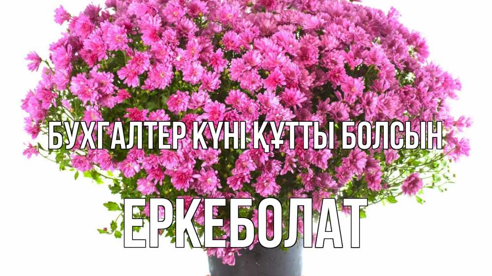 Күн сайын ашық хат с именем, Еркеболат бухгалтер күні құтты болсын с днем бухгалтера Онлайн тегін жүктеп алу тілектері бар керемет карта 