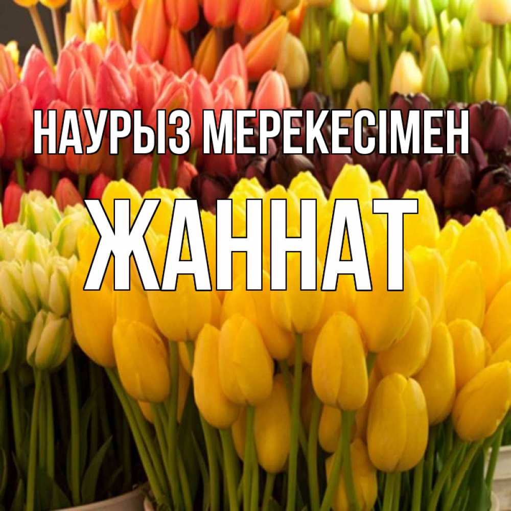 Күн сайын ашық хат с именем, ЖАННАТ Наурыз мерекесімен цветы Онлайн тегін жүктеп алу тілектері бар керемет карта 