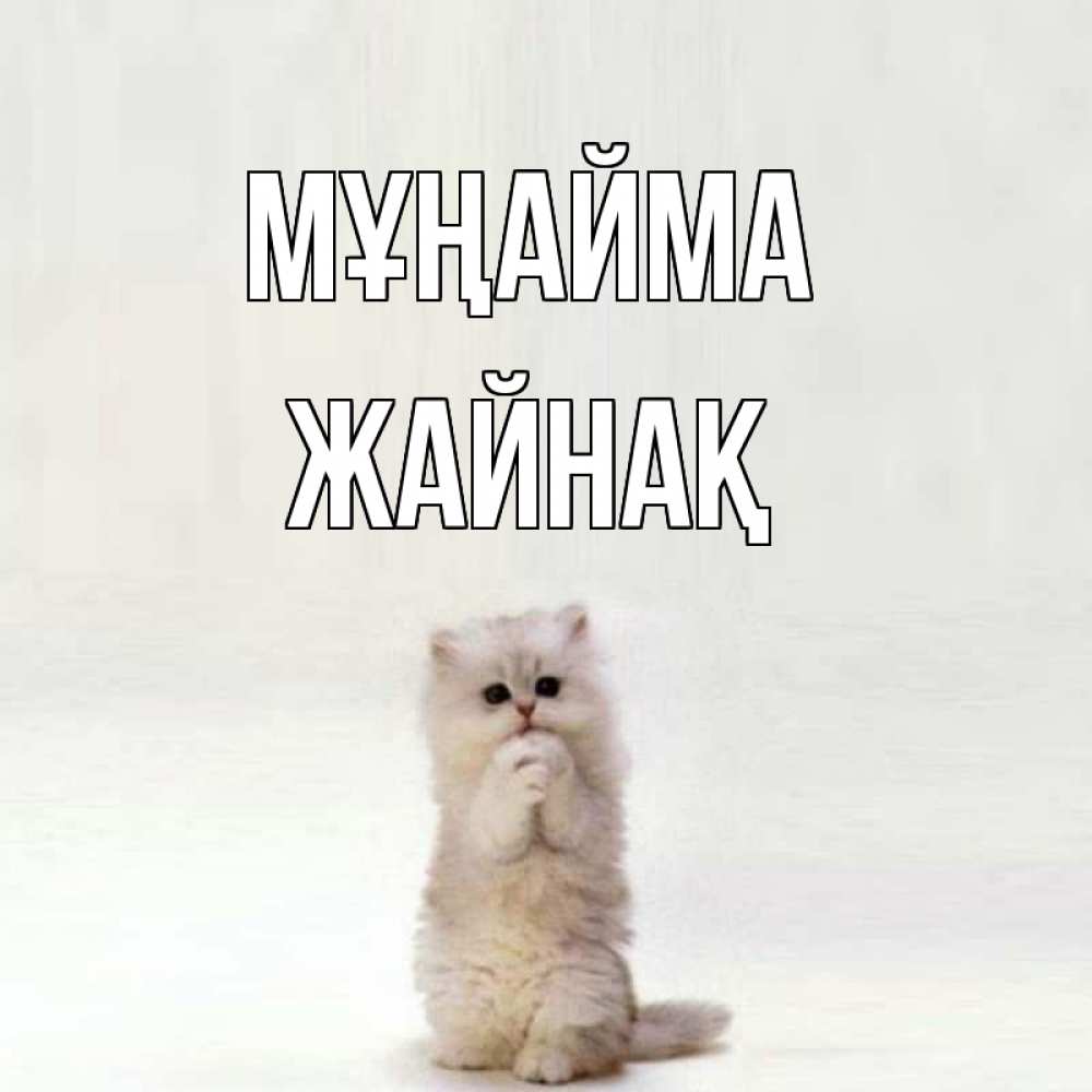 Күн сайын ашық хат с именем, Жайнақ Мұңайма грустный кот Онлайн тегін жүктеп алу тілектері бар керемет карта 