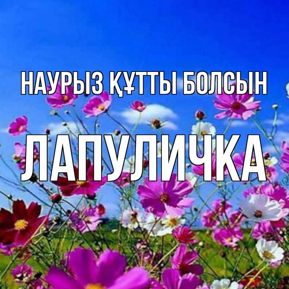 Күн сайын ашық хат с именем, Лапуличка Наурыз құтты болсын цветы Онлайн тегін жүктеп алу тілектері бар керемет карта 