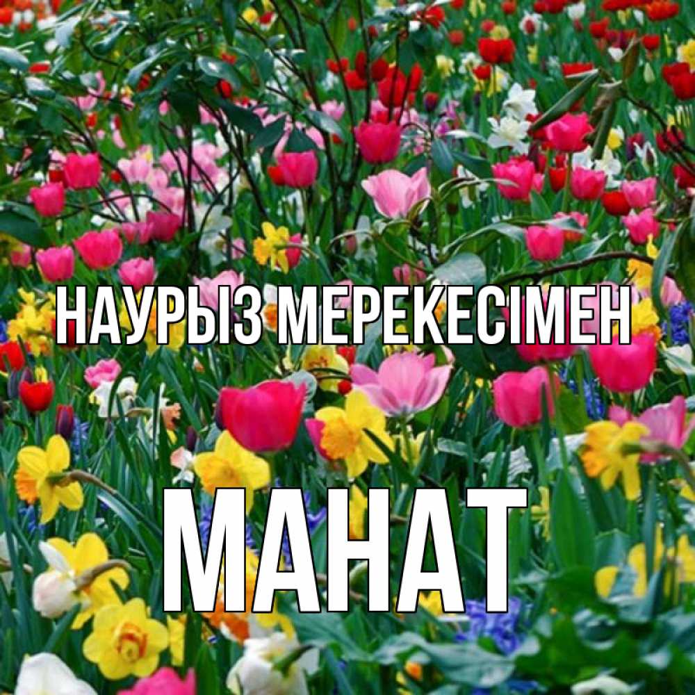 Күн сайын ашық хат с именем, МАНАТ Наурыз мерекесімен с наурызом праздником весны поздравления для женщины Онлайн тегін жүктеп алу тілектері бар керемет карта 