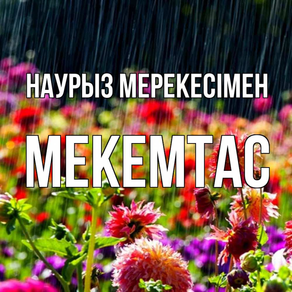 Күн сайын ашық хат с именем, МЕКЕМТАС Наурыз мерекесімен цветы под дождиком к международному женскому дню Онлайн тегін жүктеп алу тілектері бар керемет карта 