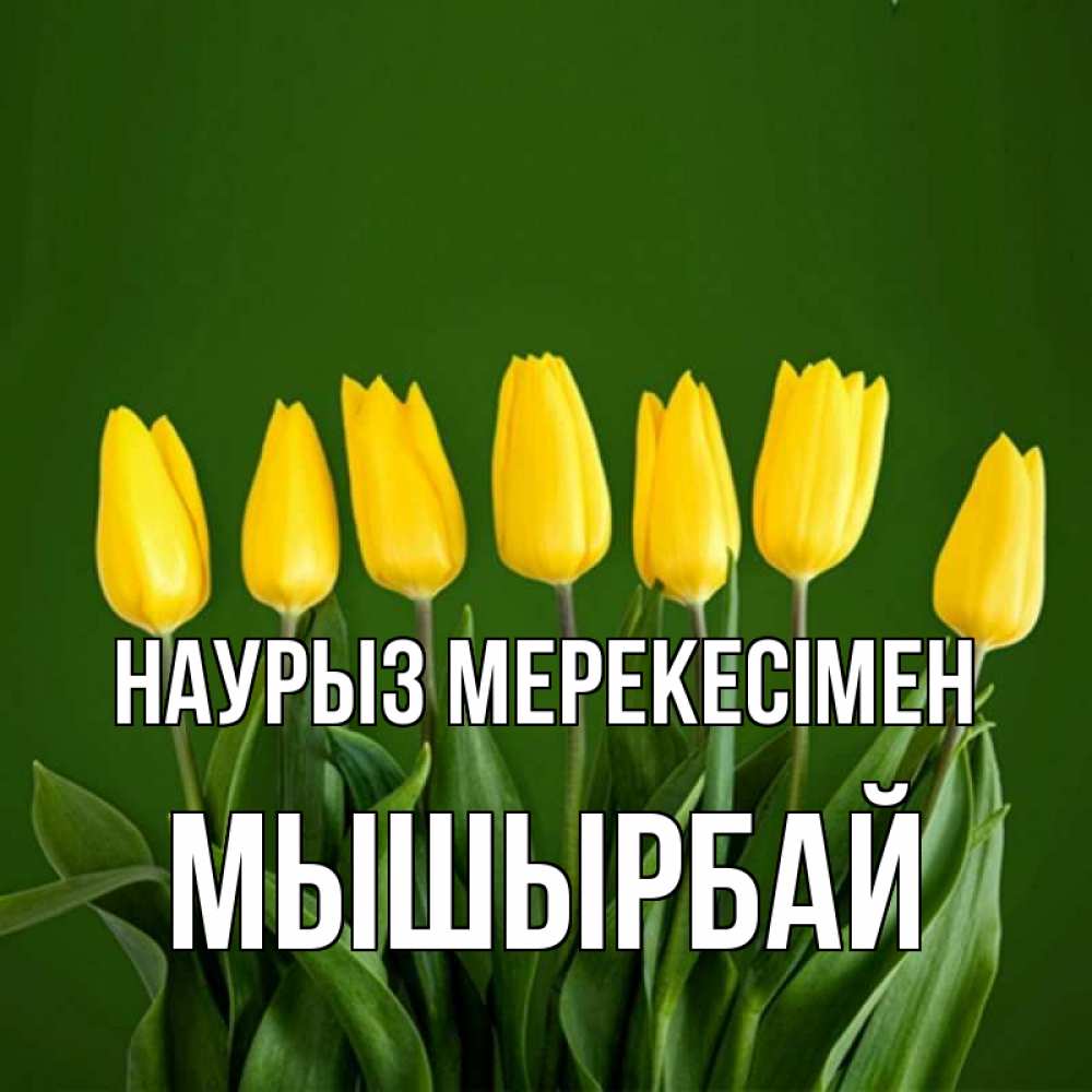Күн сайын ашық хат с именем, МЫШЫРБАЙ Наурыз мерекесімен желтого цвета 3 Онлайн тегін жүктеп алу тілектері бар керемет карта 