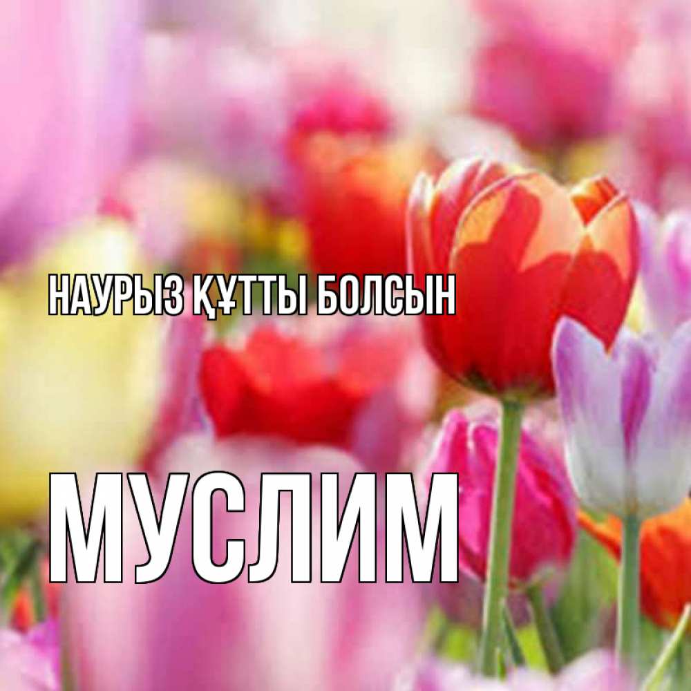 Күн сайын ашық хат с именем, Муслим Наурыз құтты болсын на наурыз  2 Онлайн тегін жүктеп алу тілектері бар керемет карта 