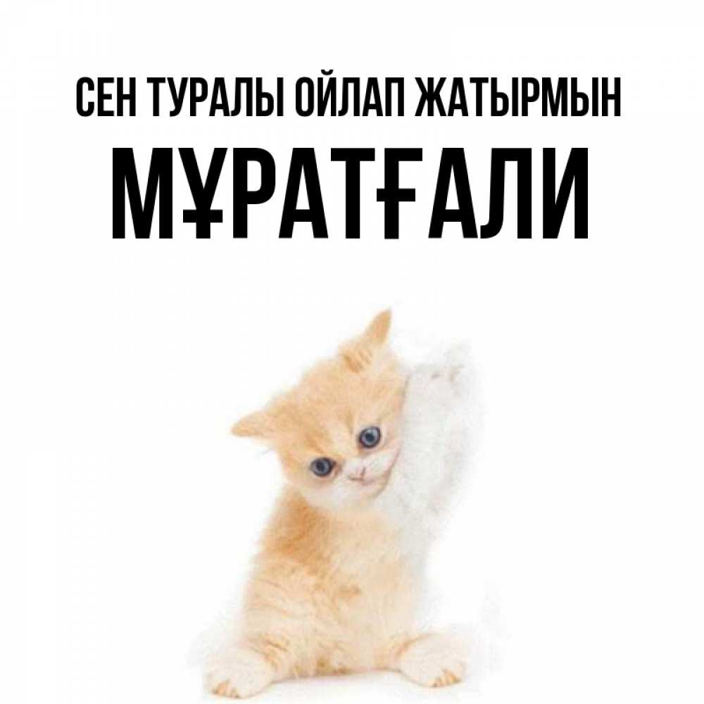 Күн сайын ашық хат с именем, Мұратғали Сен туралы ойлап жатырмын зверушки и милота Онлайн тегін жүктеп алу тілектері бар керемет карта 