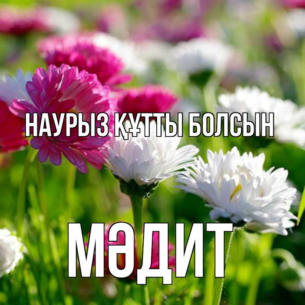 Күн сайын ашық хат с именем, МӘДИТ Наурыз құтты болсын наурыз Онлайн тегін жүктеп алу тілектері бар керемет карта 