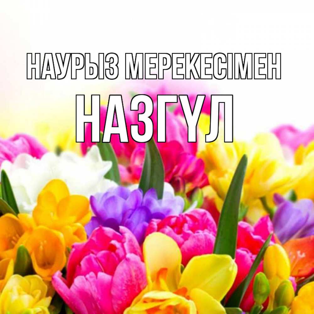 Күн сайын ашық хат с именем, НАЗГҮЛ Наурыз мерекесімен тюльпаны Онлайн тегін жүктеп алу тілектері бар керемет карта 