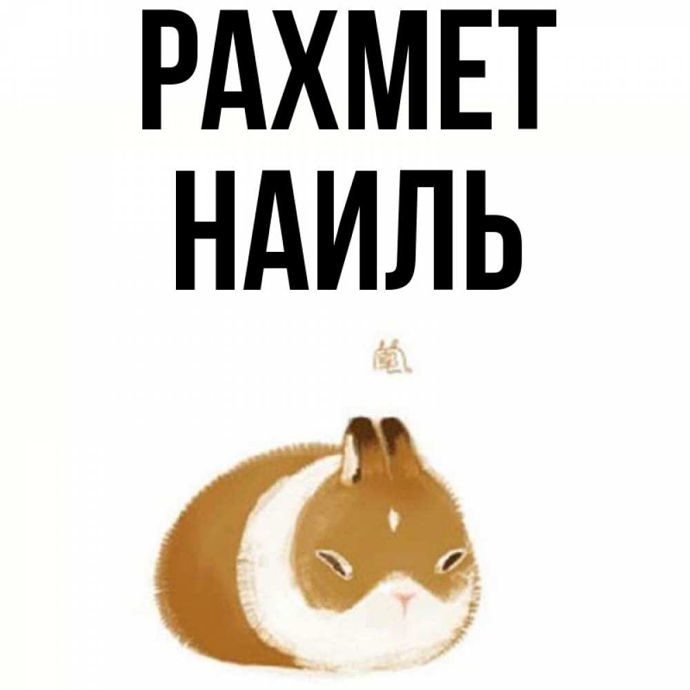 Күн сайын ашық хат с именем, Наиль рахмет коричнево белый домашний питомец Онлайн тегін жүктеп алу тілектері бар керемет карта 