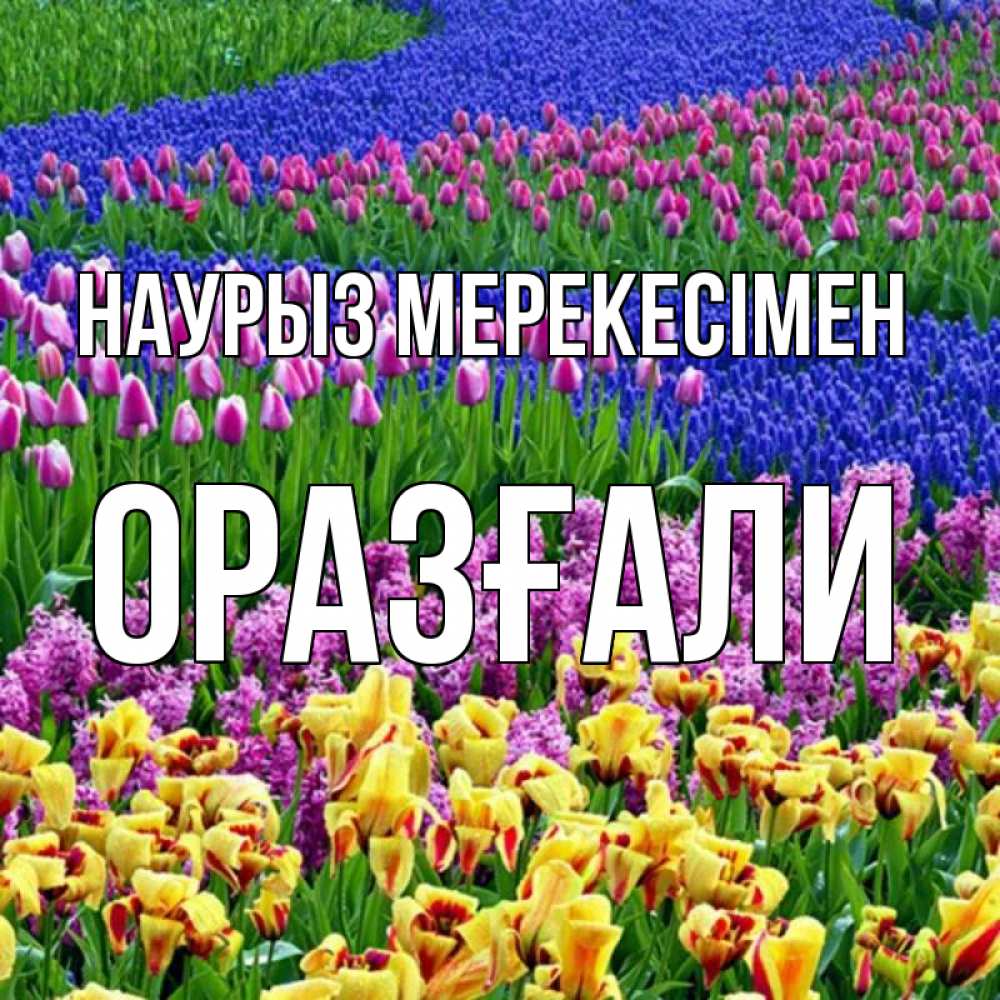 Күн сайын ашық хат с именем, ОРАЗҒАЛИ Наурыз мерекесімен цветы Онлайн тегін жүктеп алу тілектері бар керемет карта 