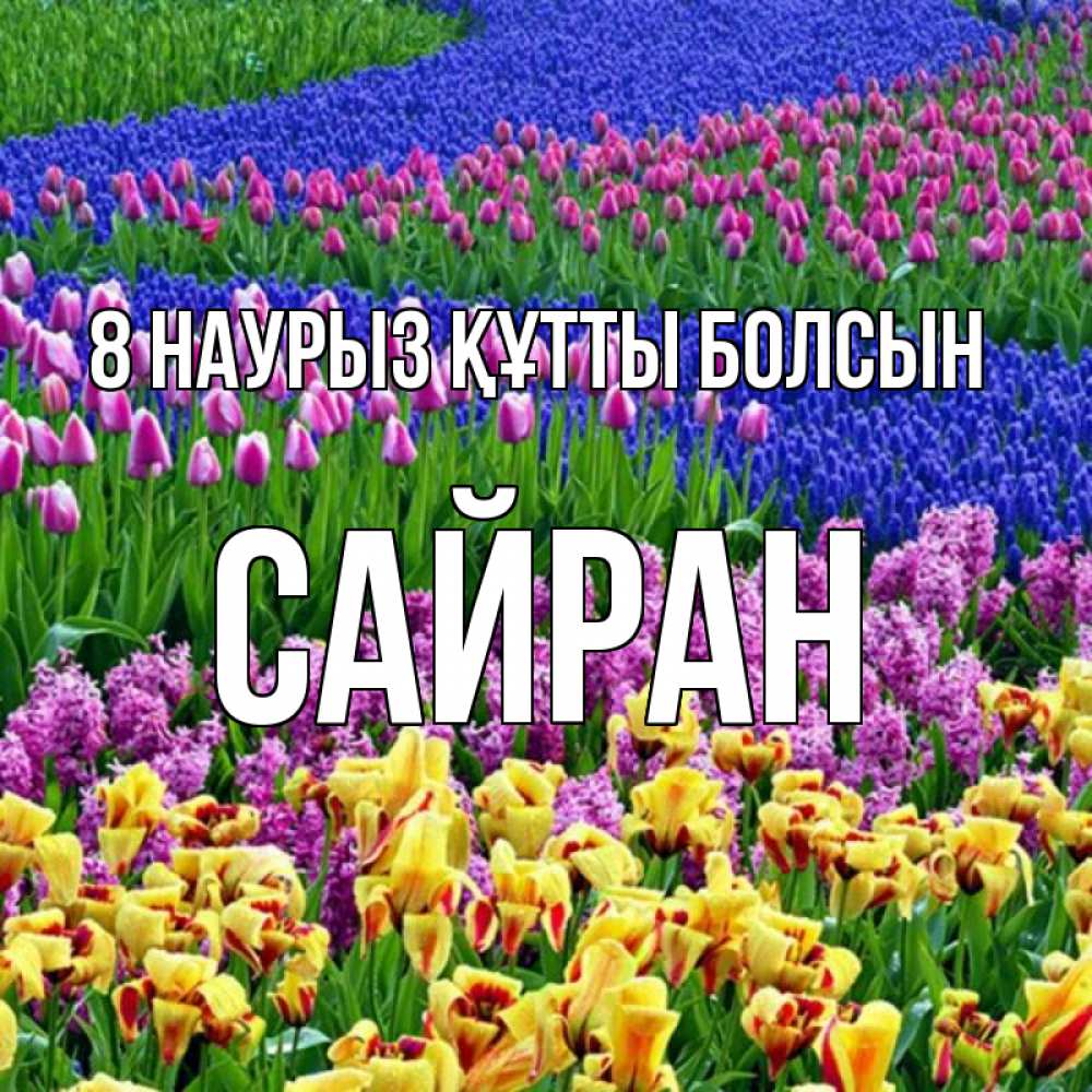 Күн сайын ашық хат с именем, САЙРАН 8 наурыз құтты болсын цветы Онлайн тегін жүктеп алу тілектері бар керемет карта 