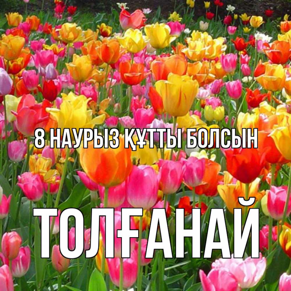 Күн сайын ашық хат с именем, ТОЛҒАНАЙ 8 наурыз құтты болсын на международный женский день Онлайн тегін жүктеп алу тілектері бар керемет карта 