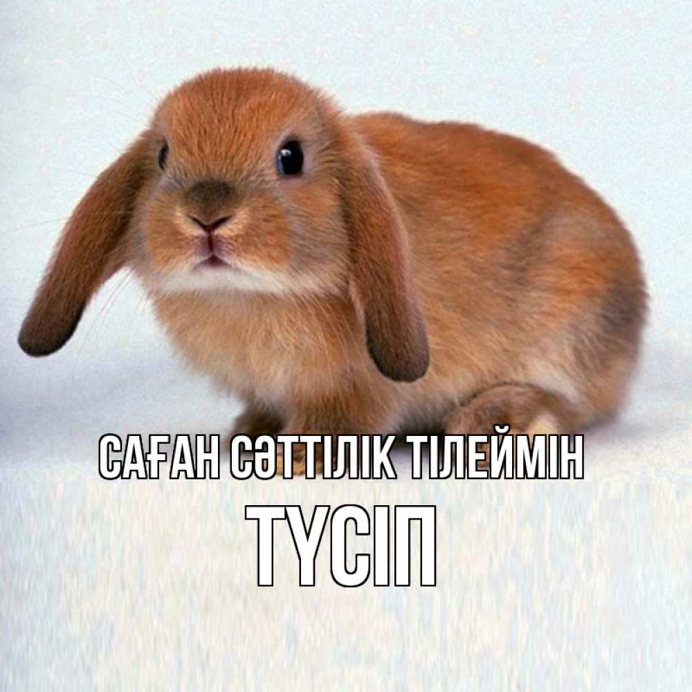 Күн сайын ашық хат с именем, ТҮСІП Саған сәттілік тілеймін вставить текст в открытку по выбору Онлайн тегін жүктеп алу тілектері бар керемет карта 