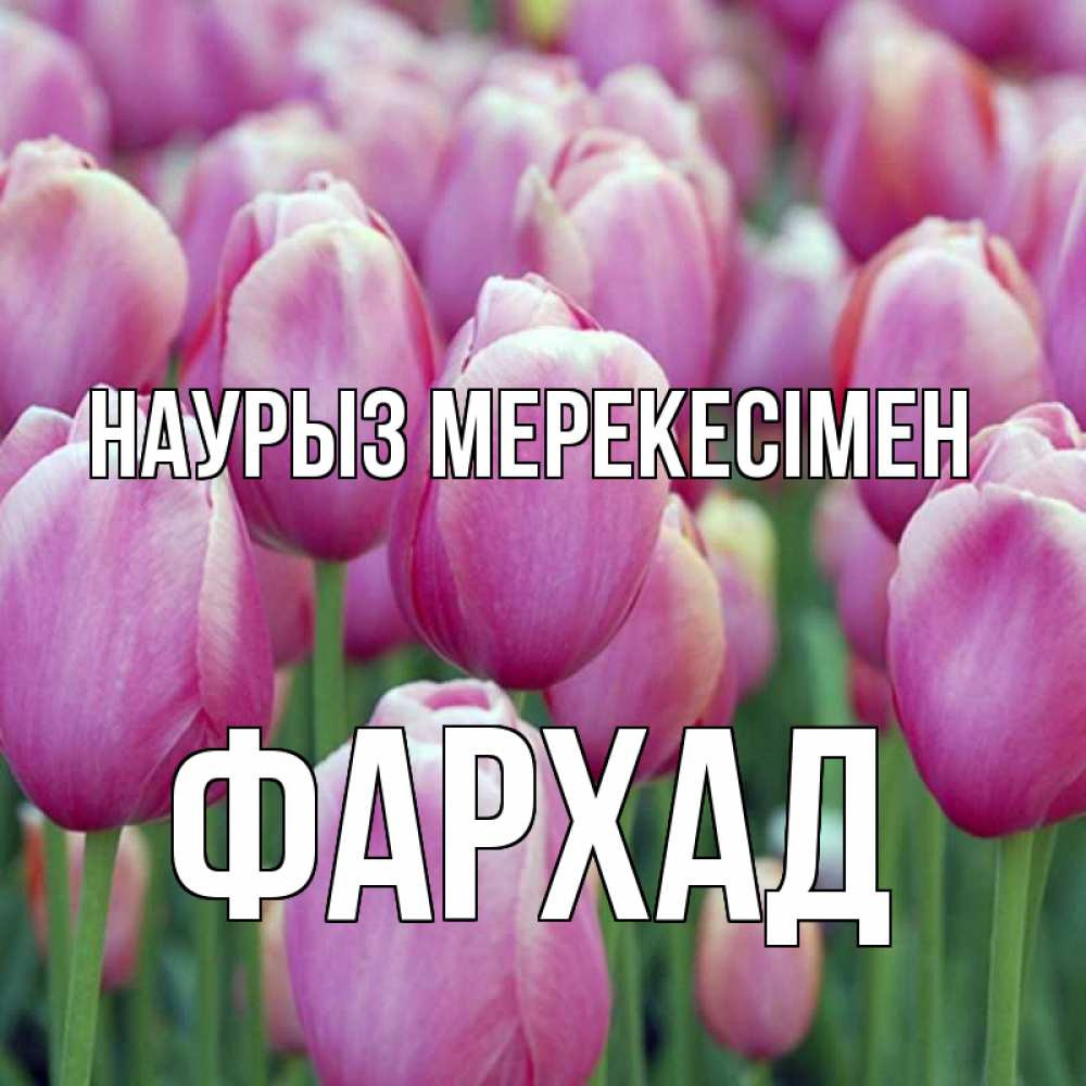 Күн сайын ашық хат с именем, Фархад Наурыз мерекесімен праздник весны наурыз 69 Онлайн тегін жүктеп алу тілектері бар керемет карта 