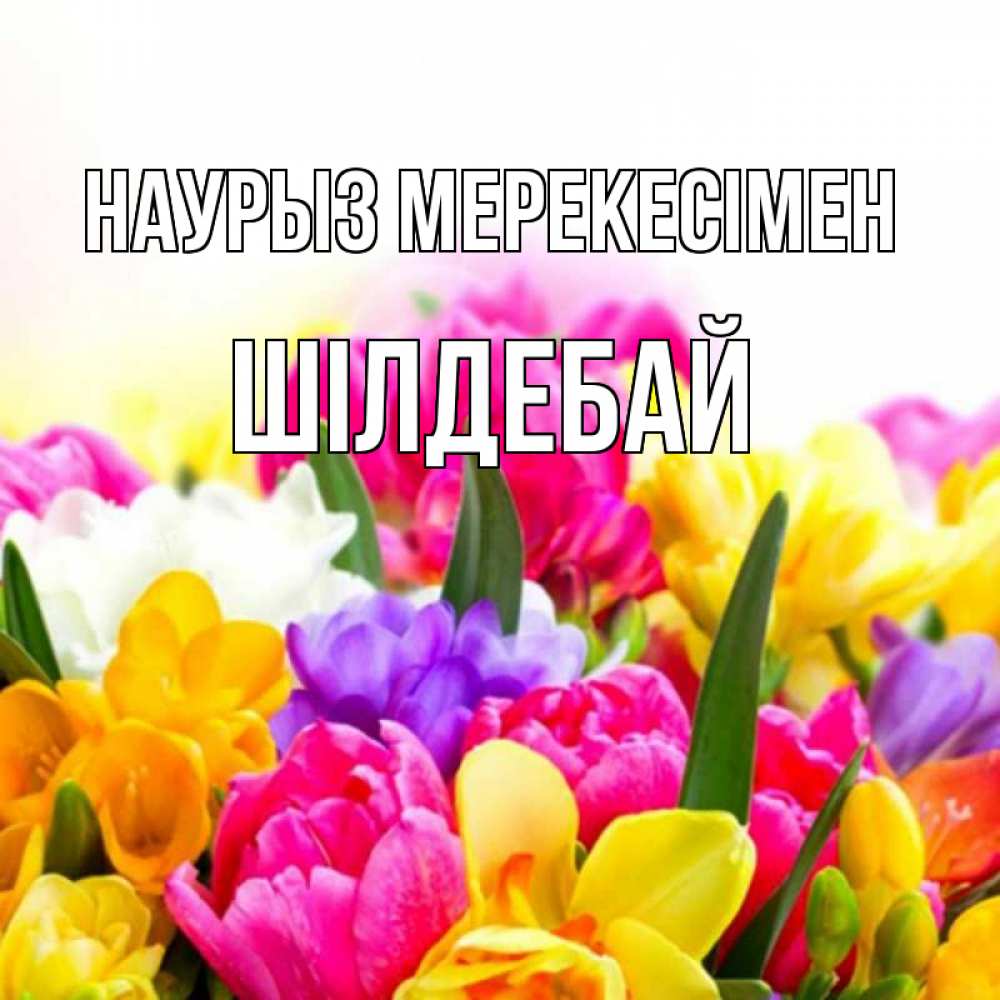 Күн сайын ашық хат с именем, ШІЛДЕБАЙ Наурыз мерекесімен тюльпаны Онлайн тегін жүктеп алу тілектері бар керемет карта 