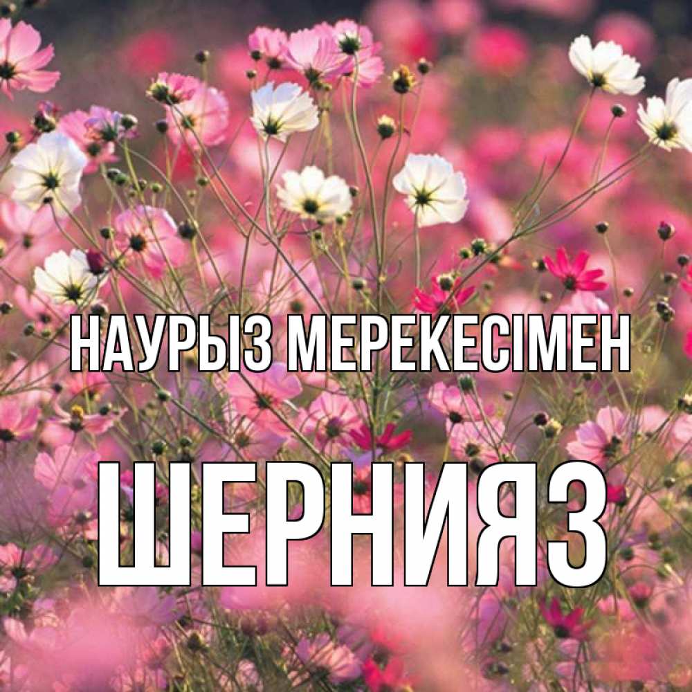 Күн сайын ашық хат с именем, ШЕРНИЯЗ Наурыз мерекесімен красиво 1 Онлайн тегін жүктеп алу тілектері бар керемет карта 