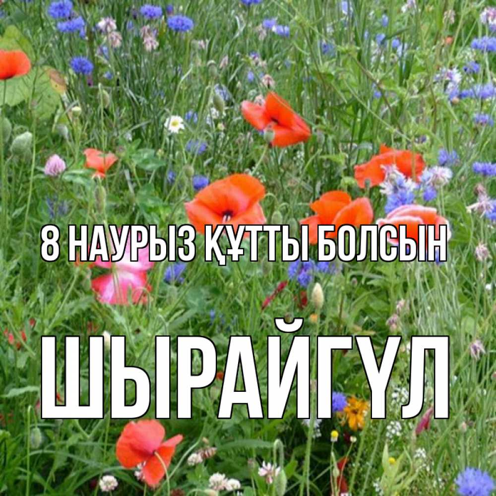 Күн сайын ашық хат с именем, ШЫРАЙГҮЛ 8 наурыз құтты болсын международный женский день 4 Онлайн тегін жүктеп алу тілектері бар керемет карта 