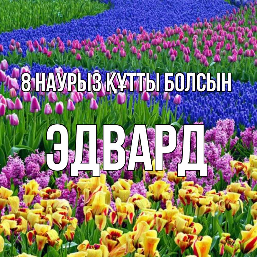 Күн сайын ашық хат с именем, Эдвард 8 наурыз құтты болсын цветы Онлайн тегін жүктеп алу тілектері бар керемет карта 