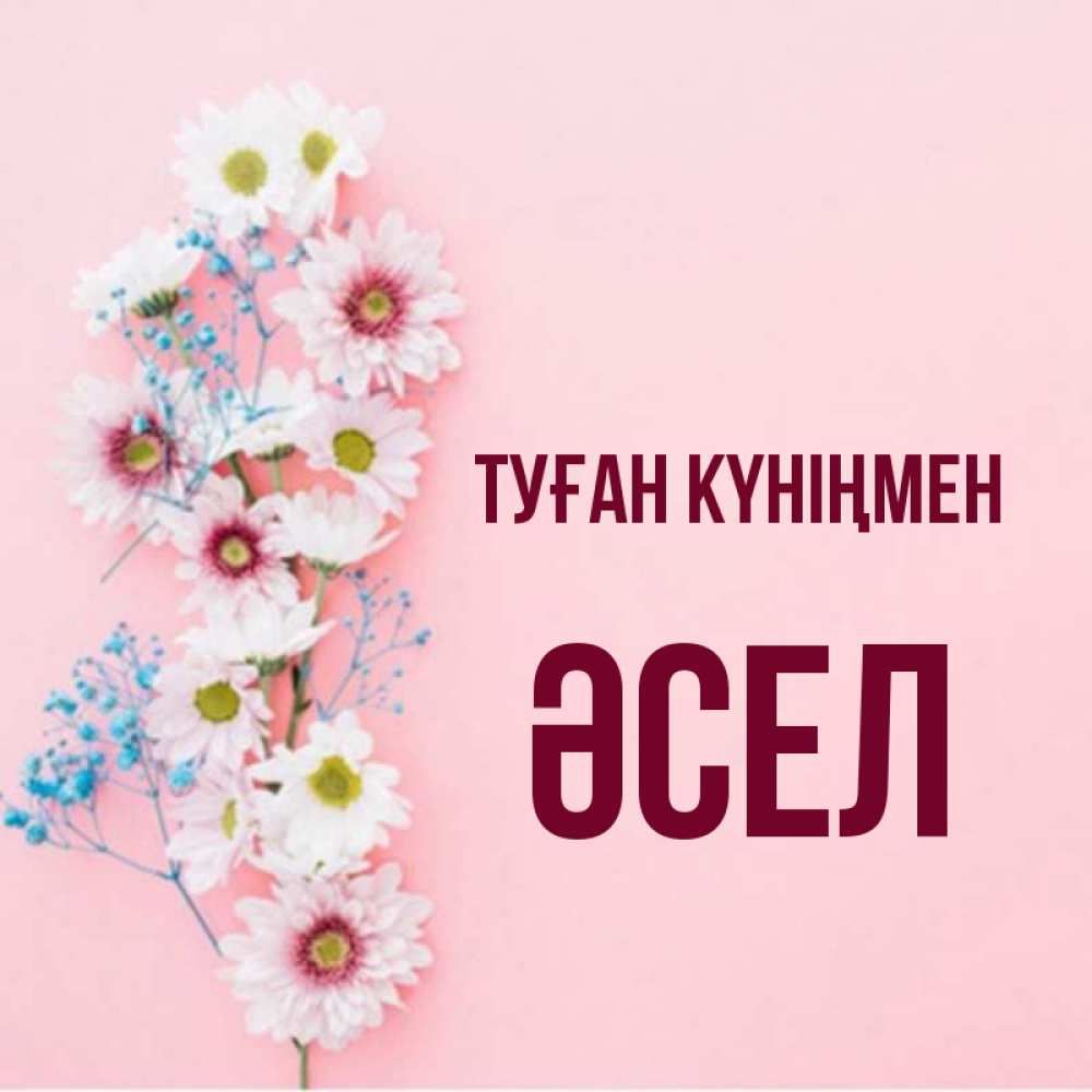 Күн сайын ашық хат с именем, ӘСЕЛ Туған күніңмен Родная моя с днем рождения тебя картинка с цветами белыми и голубыми Онлайн тегін жүктеп алу тілектері бар керемет карта 